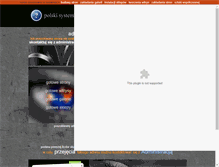 Tablet Screenshot of apawlow.netgaleria.pl